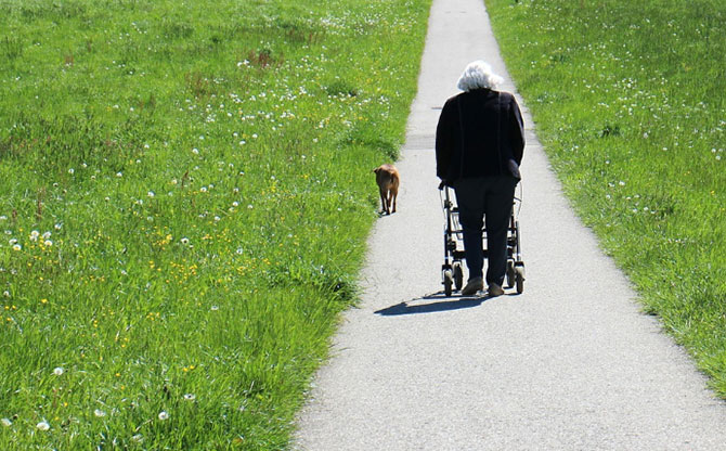 smart rollator